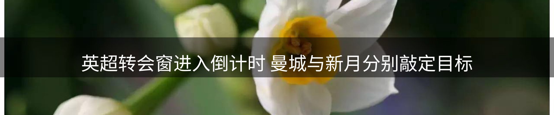 赛事资讯