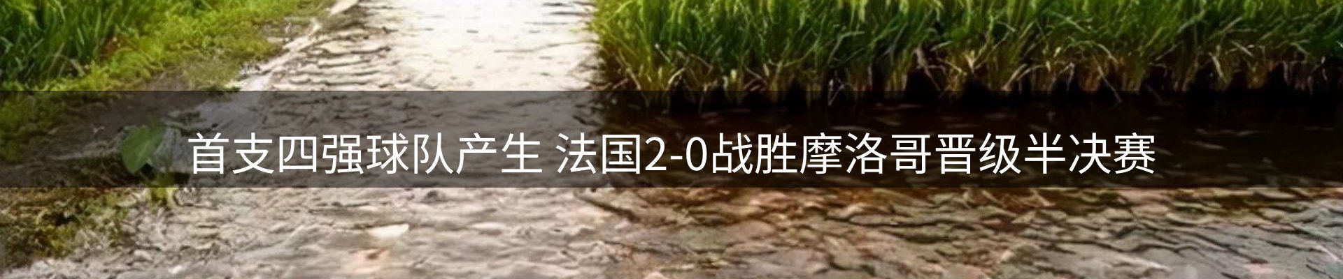 赛事资讯