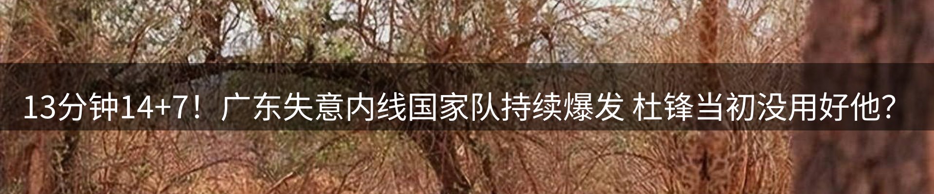 赛事资讯